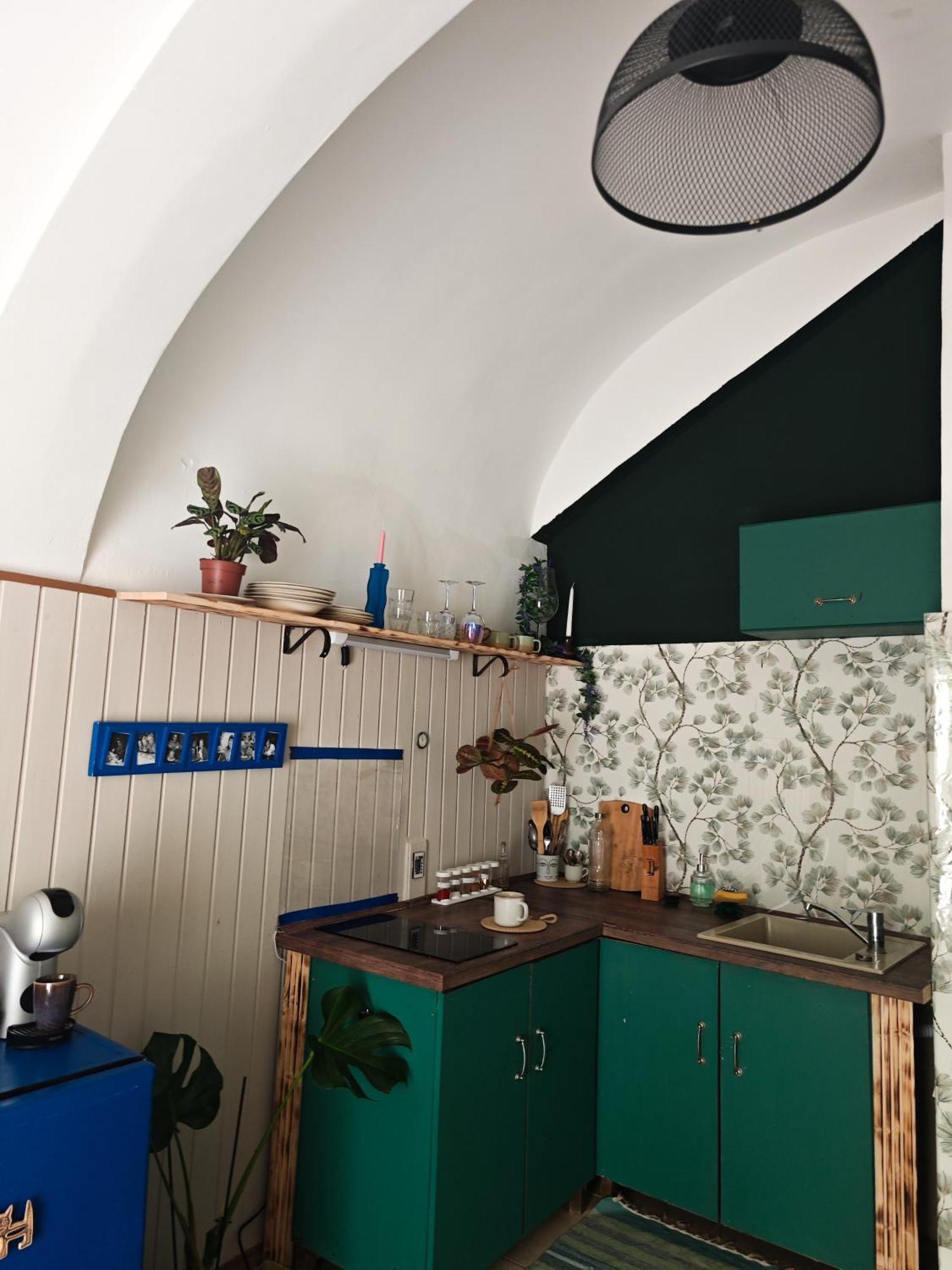 Vintage Room With Garden View Bratysława Zewnętrze zdjęcie