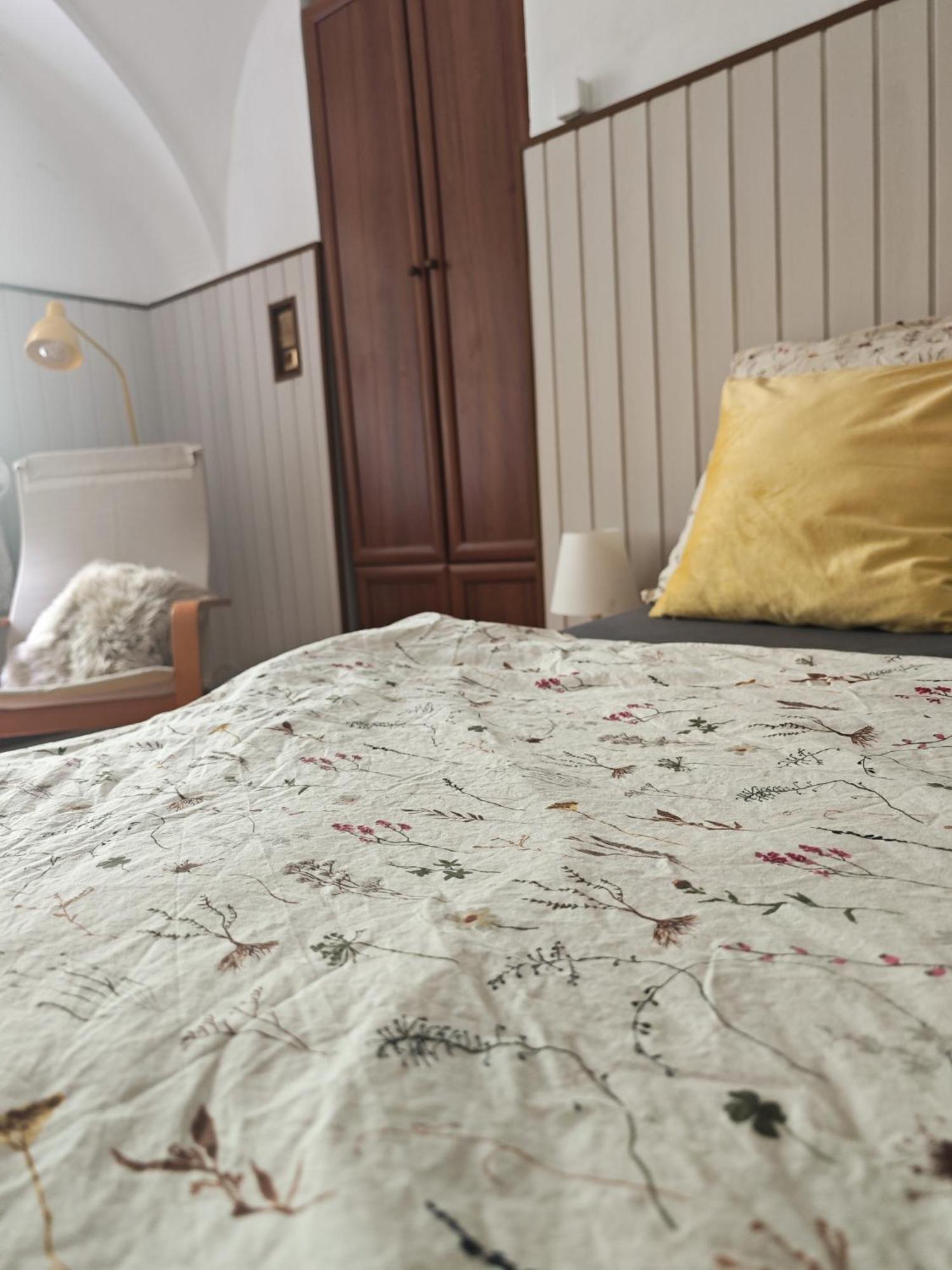 Vintage Room With Garden View Bratysława Zewnętrze zdjęcie