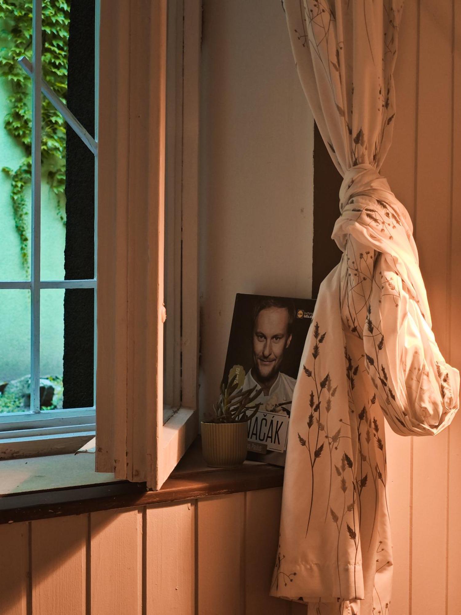 Vintage Room With Garden View Bratysława Zewnętrze zdjęcie