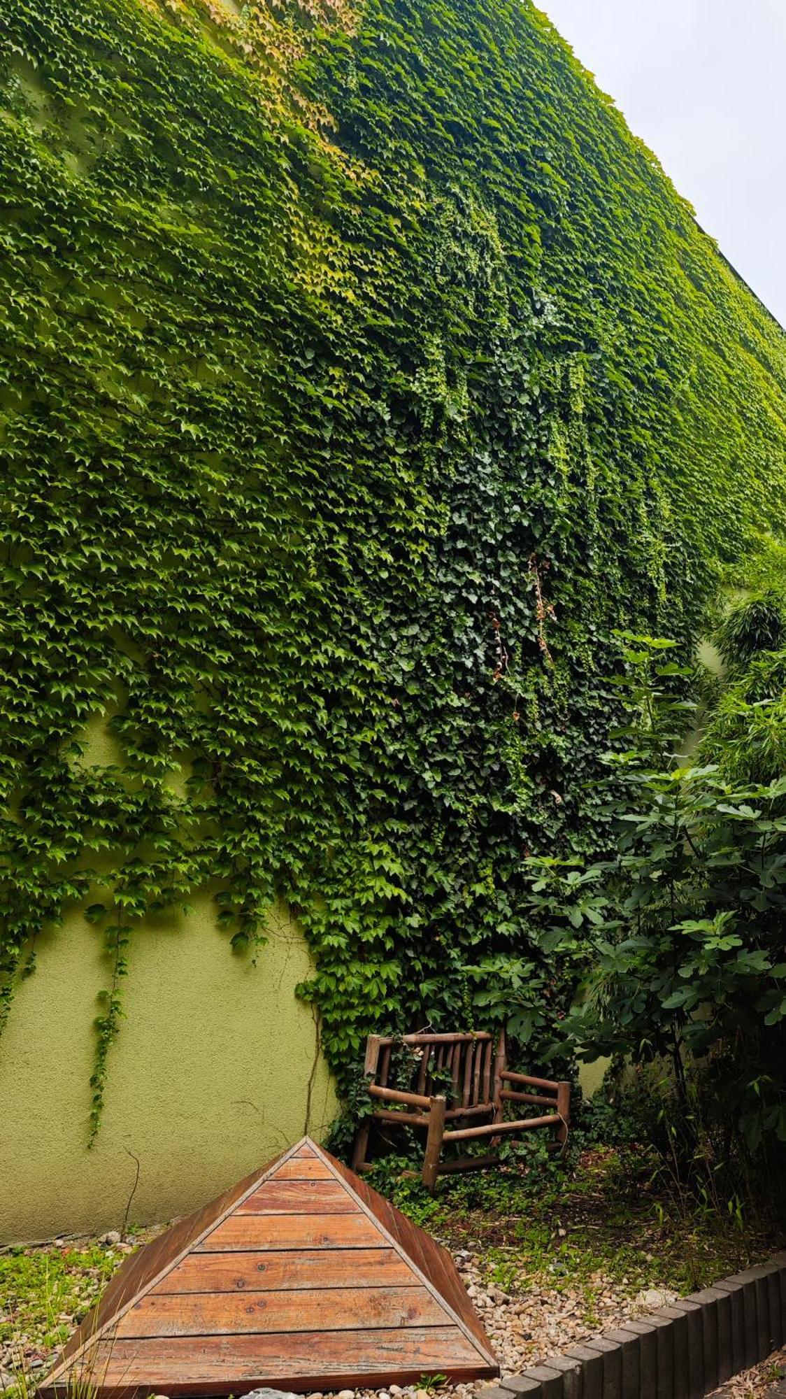 Vintage Room With Garden View Bratysława Zewnętrze zdjęcie